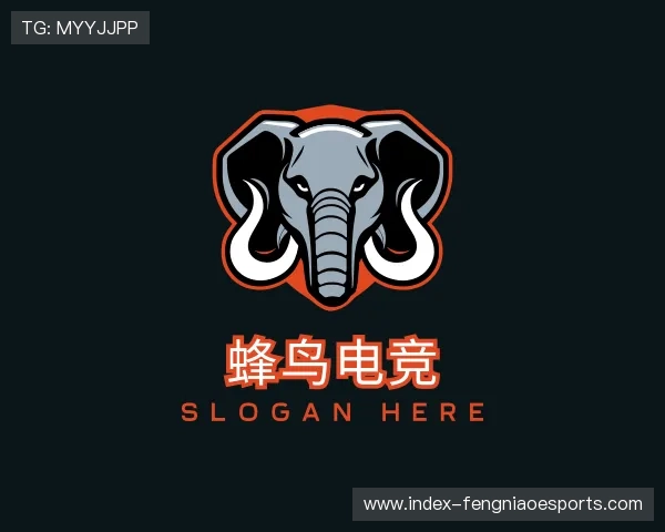 介绍蜂鸟电竞管理